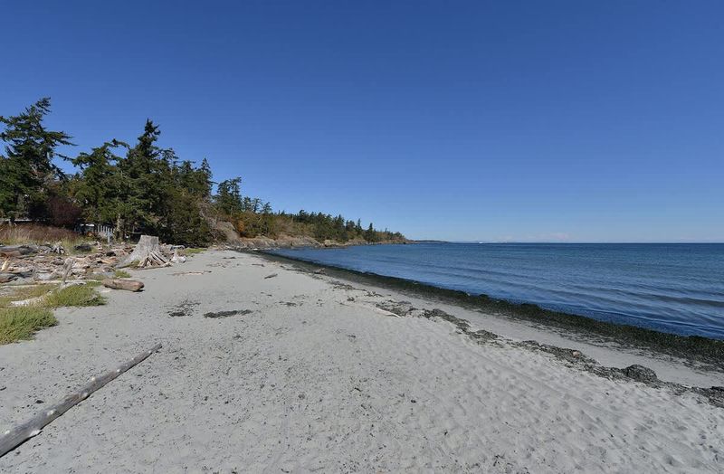 Local sandy beach, Weirs Beach, just a few minutes walk from the house. 