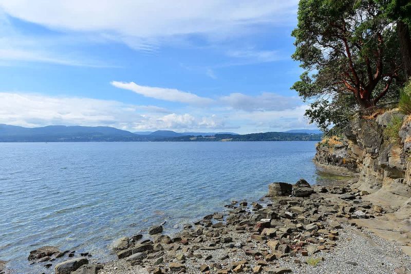 Beach below the lodge. 
