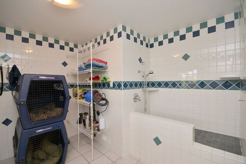 Fully tiled pet grooming room complete with a raised tub.