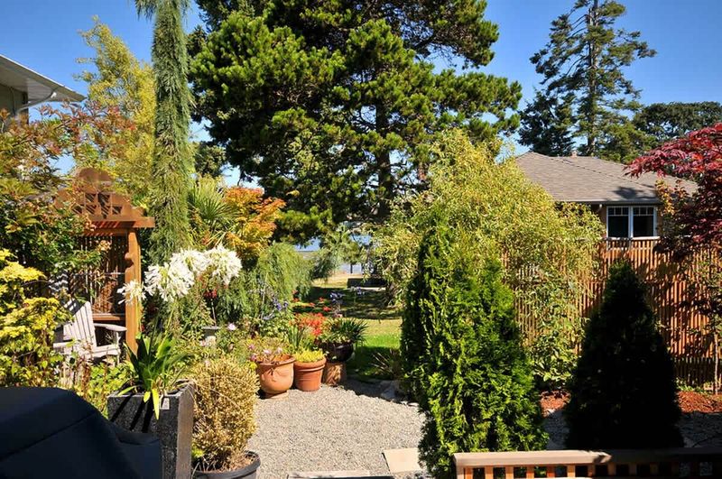Heron View Cottage garden.