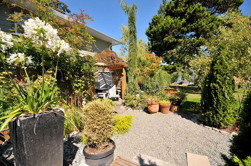 Heron View Cottage garden.