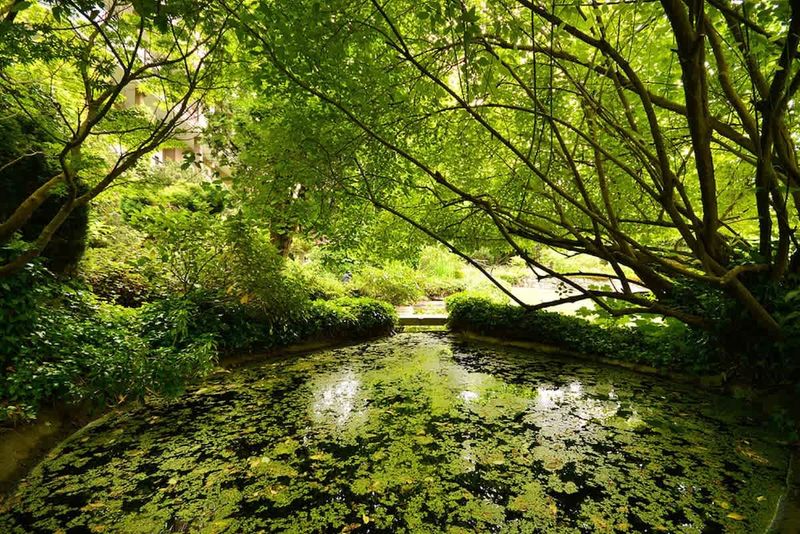 Miraloma gardens