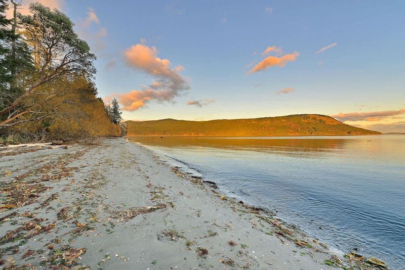 Sandy beach below the house.