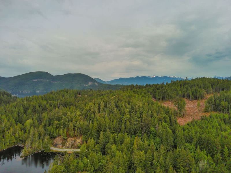 Drone view from North Lake. 