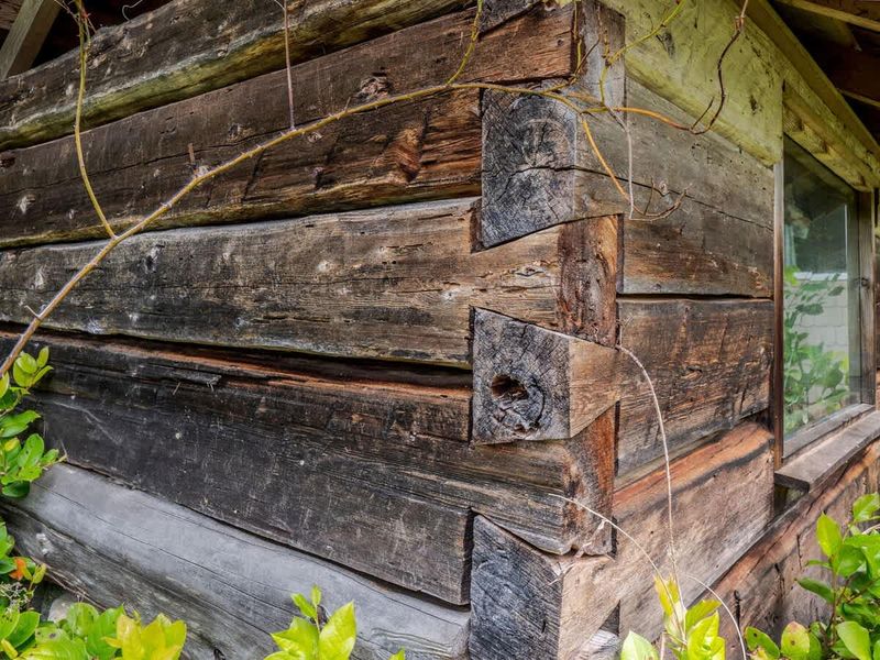 Old hand hewn log shed to admire on the property. 