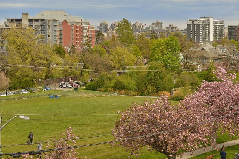 Parks views from balcony. 