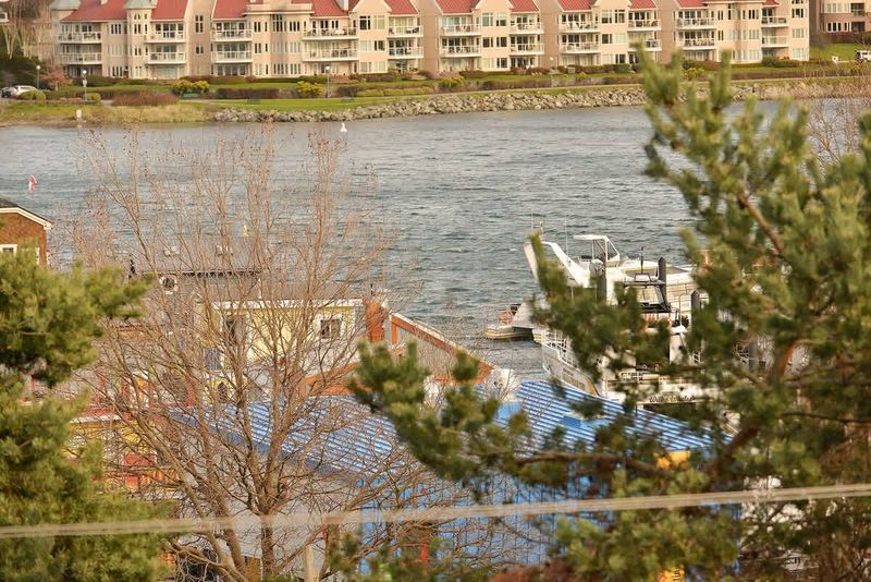 Inner Harbour balcony views. 