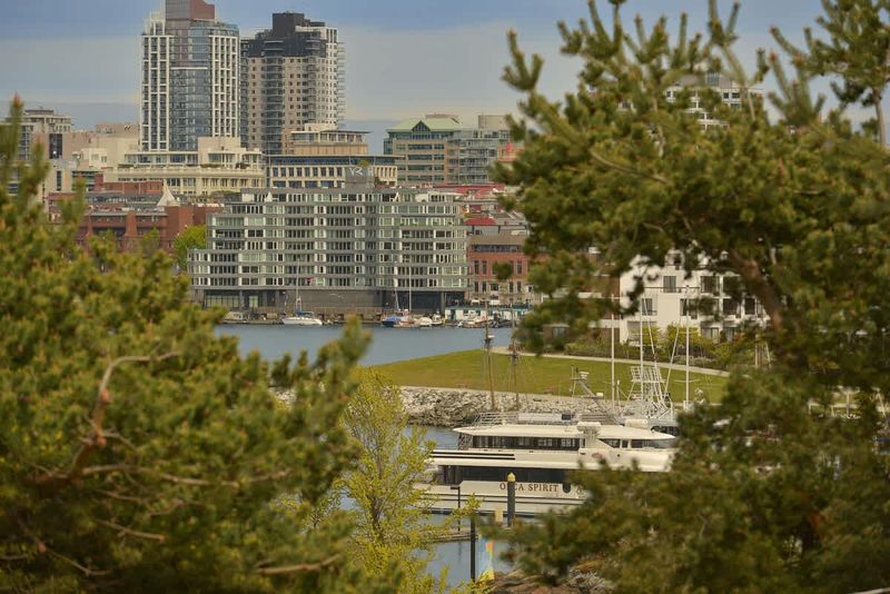 Inner Harbour balcony views. 