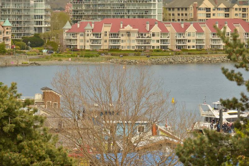 Inner Harbour balcony views. 