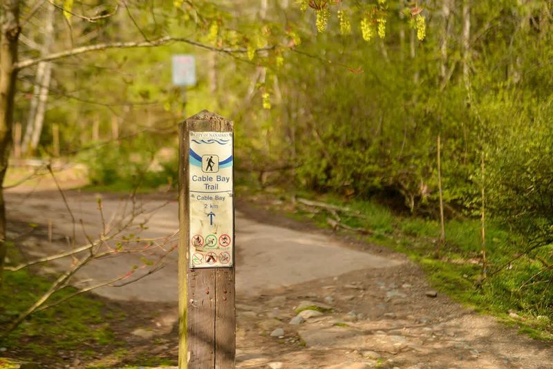 Beautiful Cable Bay Trail just a short walk away.