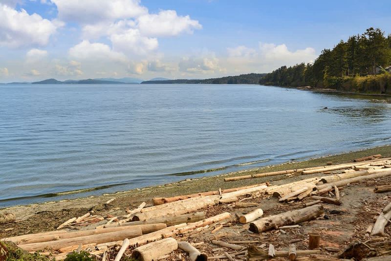 Cedar Boat Launch Beach. Great locals beach.