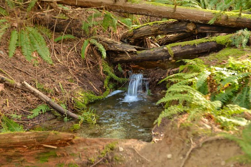 Beautiful Cable Bay Trail just a short walk away.