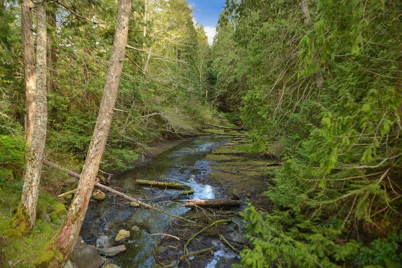 Beautiful Cable Bay Trail just a short walk away.