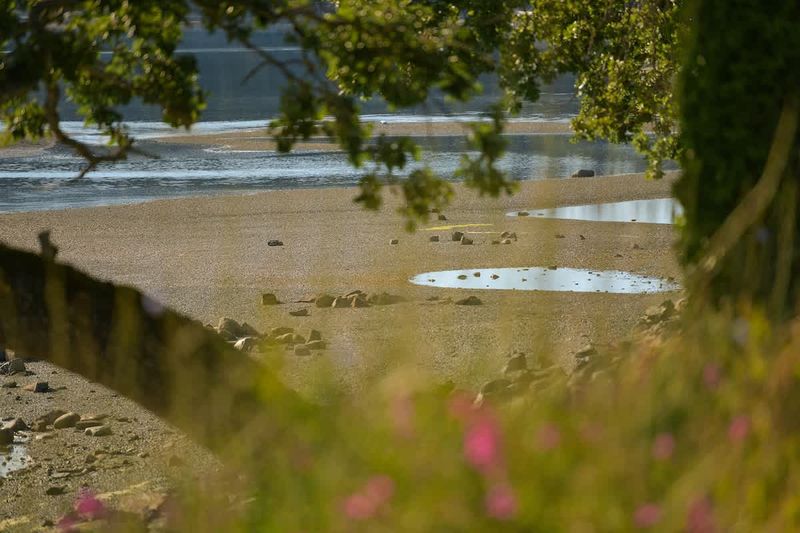 Patricia Bay beach just across the street from the cottage.