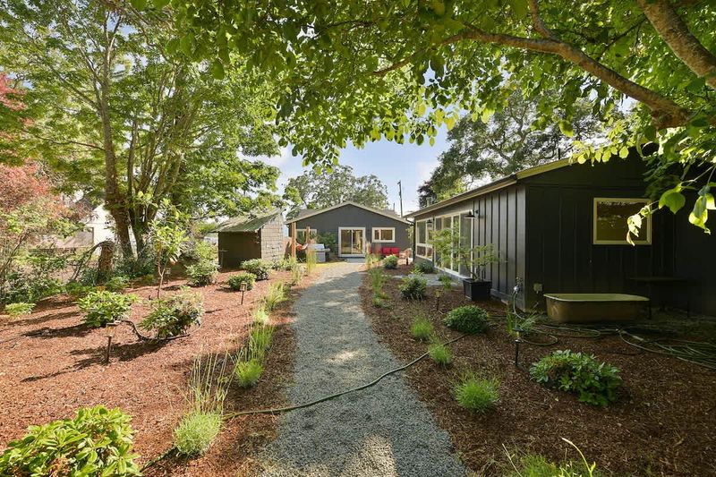 Backyard living and garden spaces.