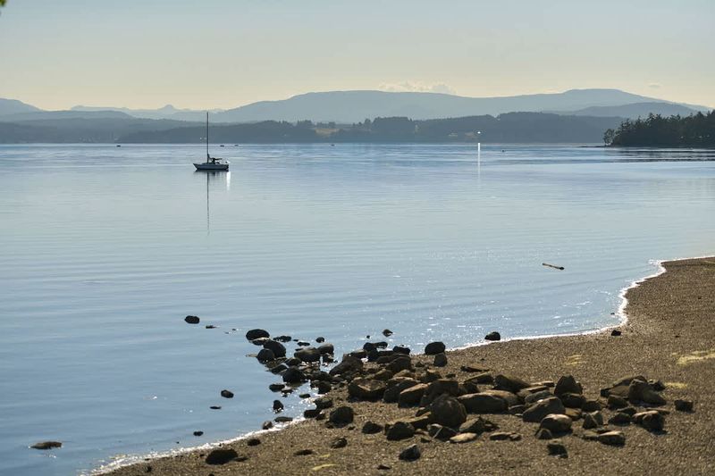 Patricia Bay beach just across the street from the cottage.