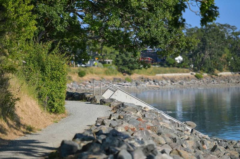 Patricia Bay beach just across the street from the cottage.
