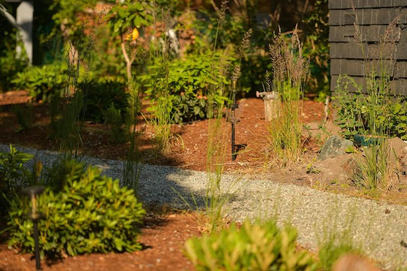 Backyard living and garden spaces.