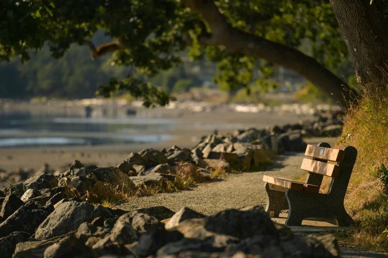 Patricia Bay beach just across the street from the cottage.