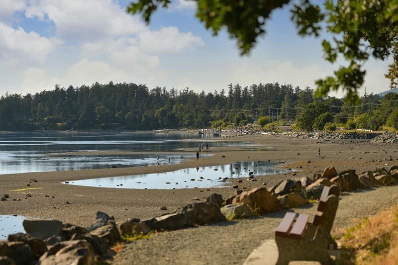 Patricia Bay beach just across the street from the cottage.