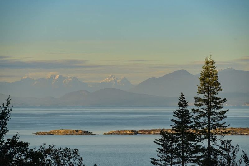 Evening light is amazing