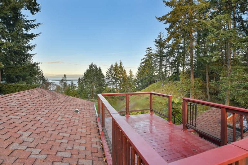 View from roof top deck