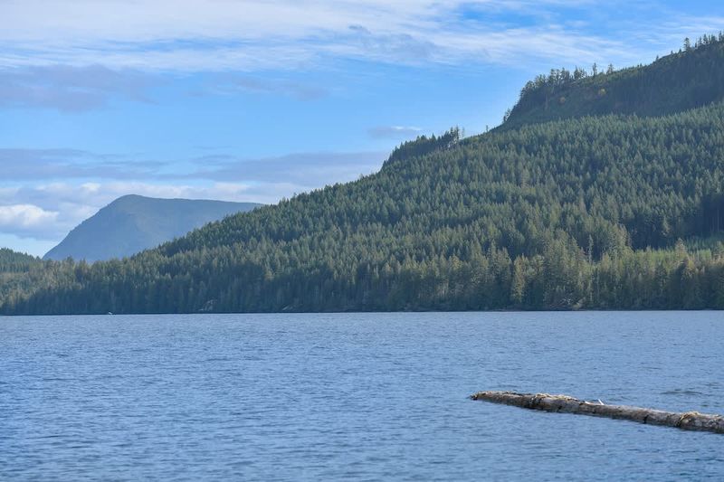 Cowichan Lake Views!