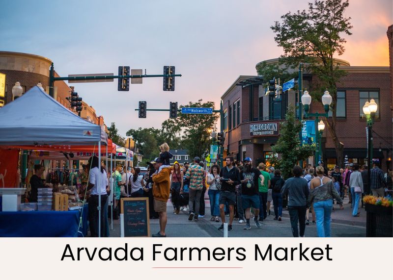 11dfa80b 9365 472f 8af4 02249ba48d87 homerunner