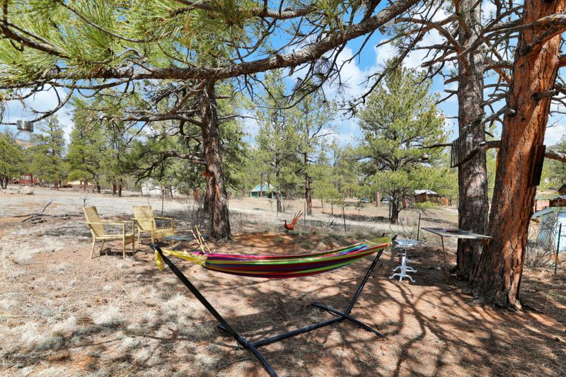 16eee2d7 8a80 4739 9873 0c034ee050ff homerunner