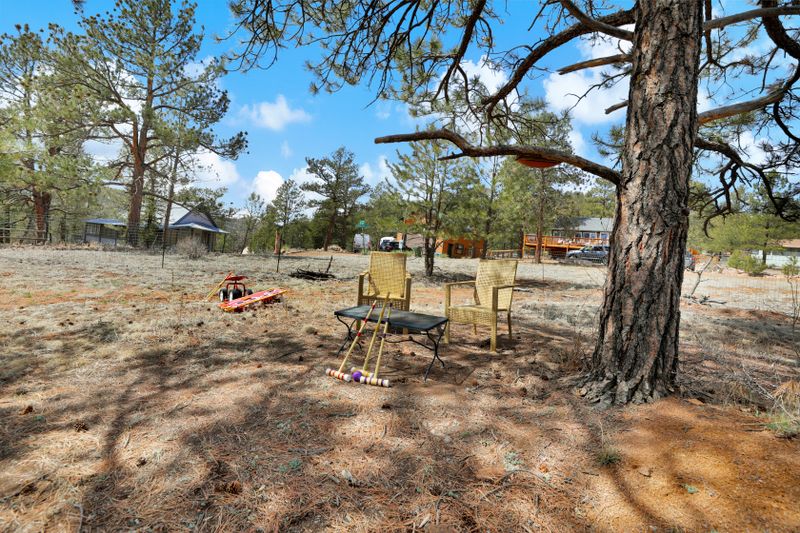 1c345a12 6405 4bbf a9d5 6b8aa9dd6e0b homerunner