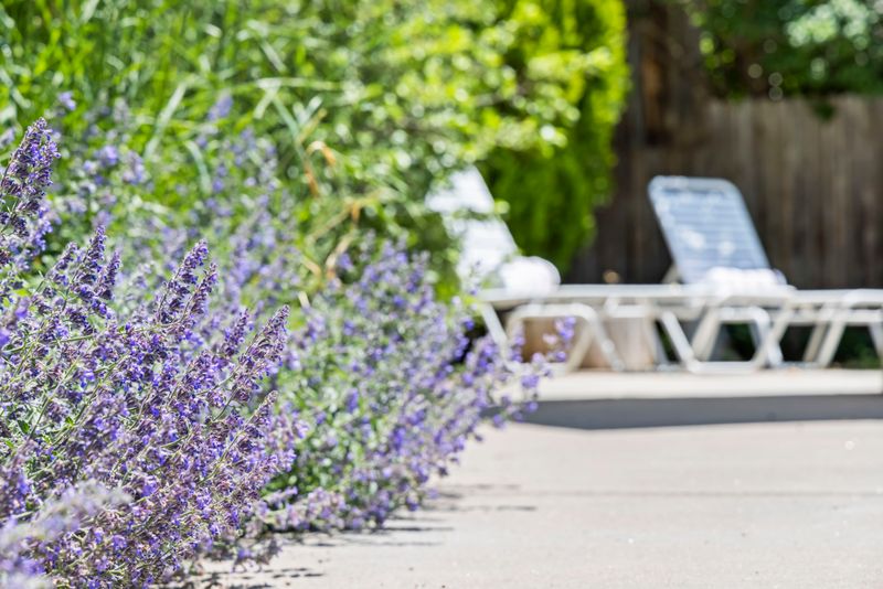 217afbdf fef4 46c5 af81 ee0ffc53d2d0 homerunner