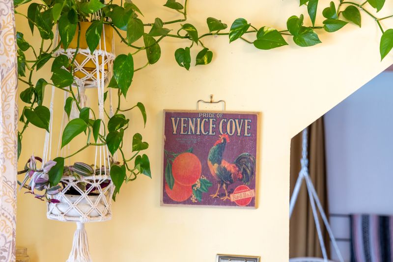 23421d96 1634 4384 b69e 57499b540322 homerunner