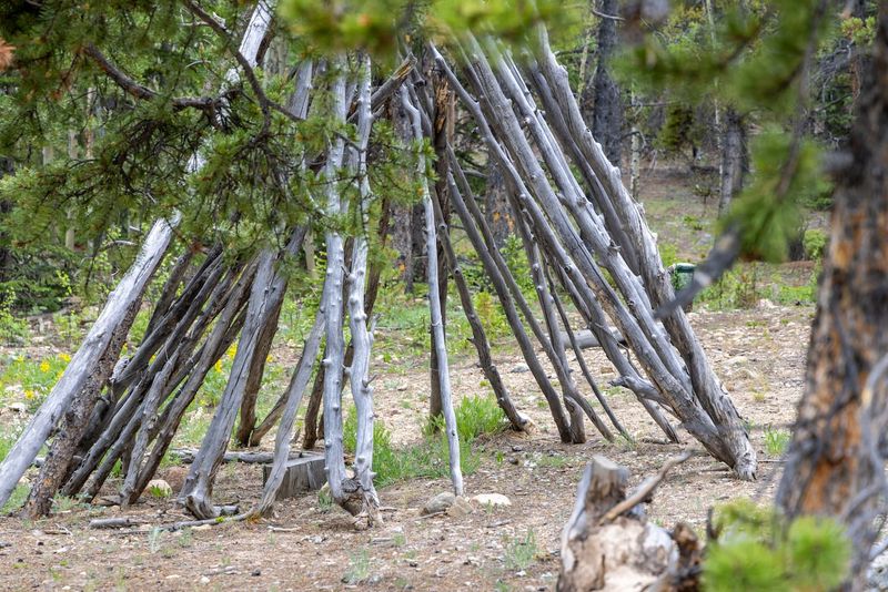 26cc4621 6cdd 46cd ae91 07e22878bc57 homerunner