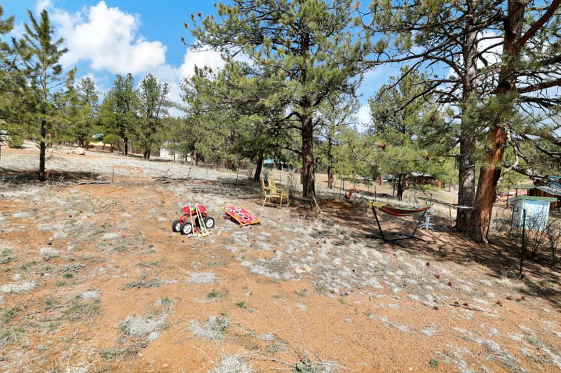 33fa4f25 5718 4f4e b21a bba70d0199e6 homerunner