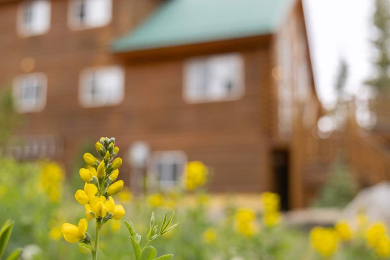 33ff299b a51b 4ba5 8e95 1269781113c7 homerunner