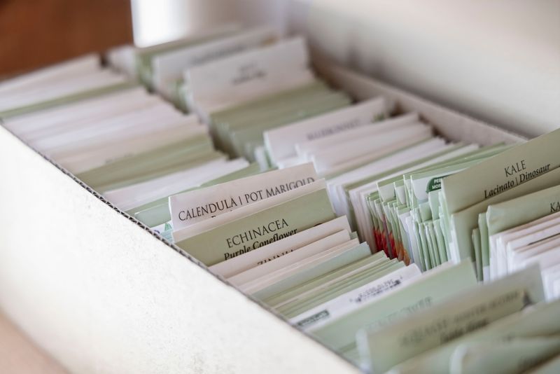 41524ce6 036e 420d a35f 75718366e042 homerunner