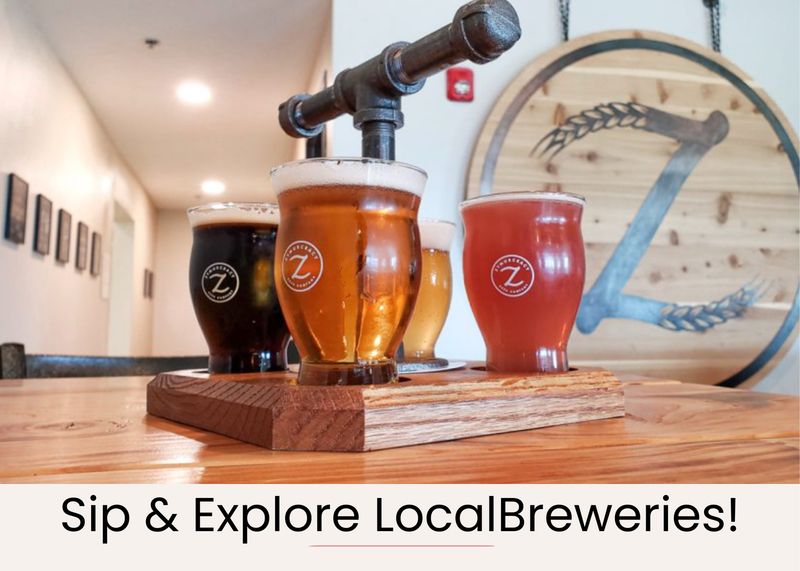 51f11f0d 6975 4c0b 9033 f341e8252896 homerunner