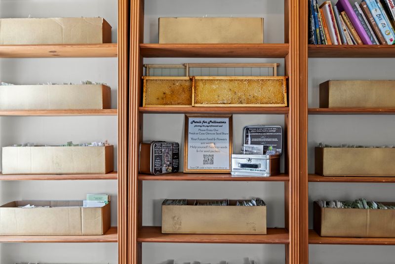 54fd244f 5f45 4506 b73d 109a5192f557 homerunner