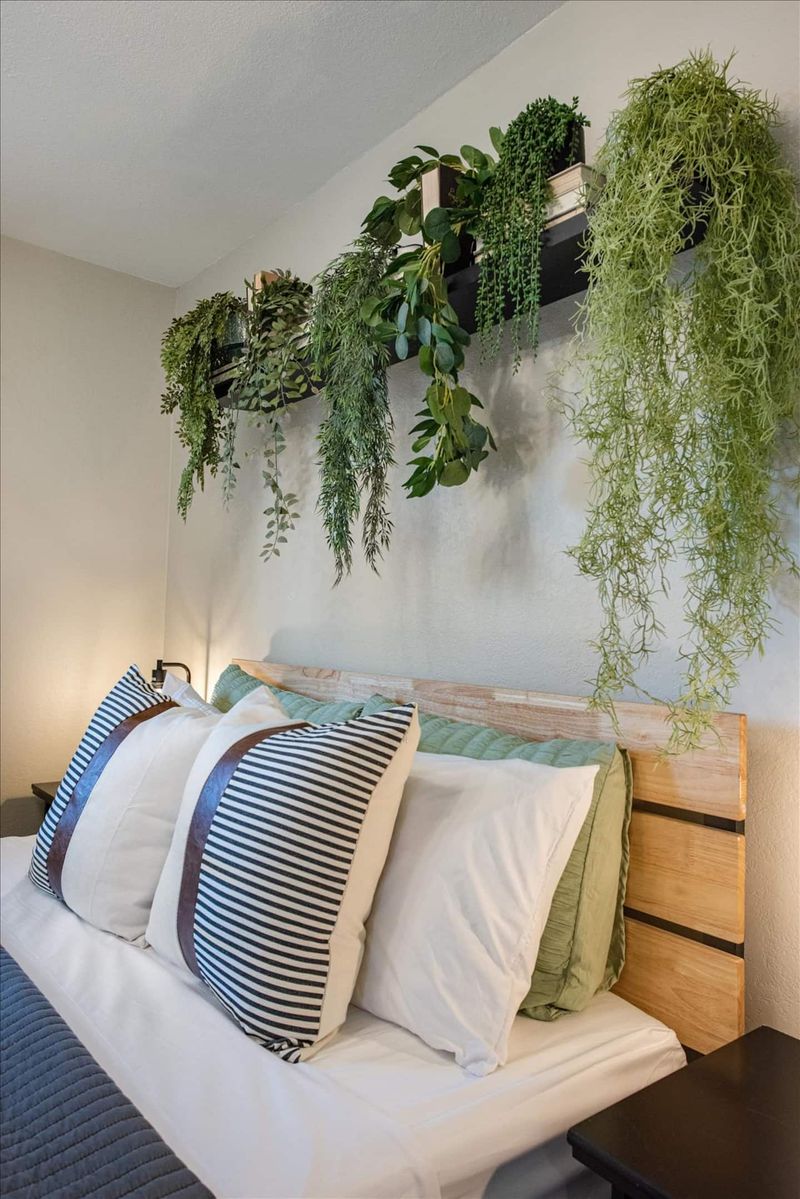 617c7eb5 f21d 479b 91aa 95c5ccc0c66f homerunner