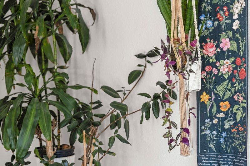 801bfccf 8680 4a48 961d 9b7b5fb8df6f homerunner