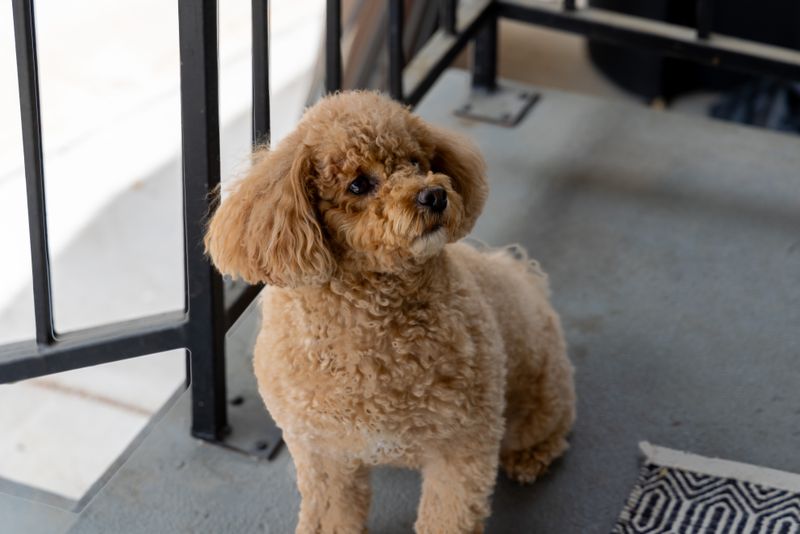 9be2f862 82e7 4a07 b2d1 626548f8c78d homerunner