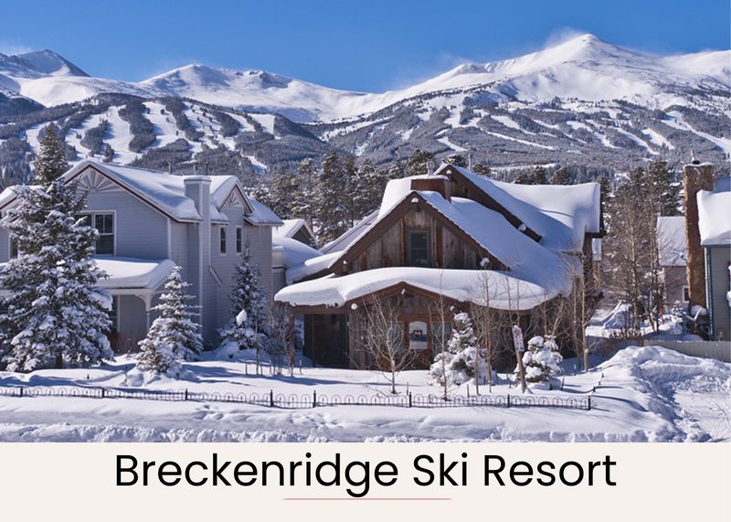 9d04c919 3088 4b5d a574 5cc7d7d1f60e homerunner