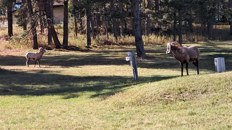 9de8a830 a9b2 4995 a43c 9ac9f73b6355 homerunner