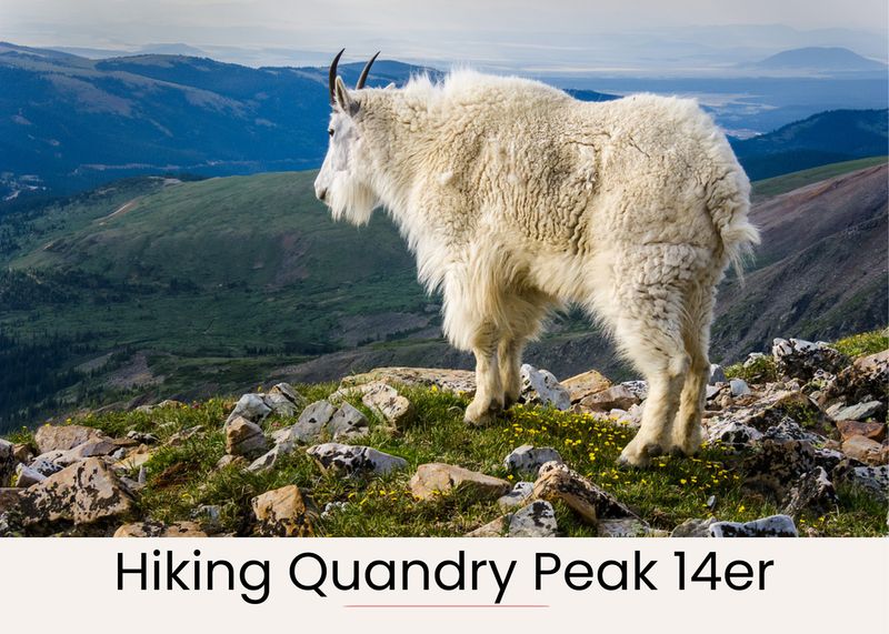 A096b165 a3cf 4ae7 b65e f4c9b5182b6e homerunner