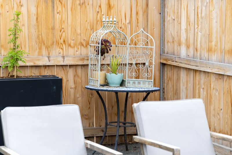 A9aaf381 b17d 447f a051 446e15cc0615 homerunner