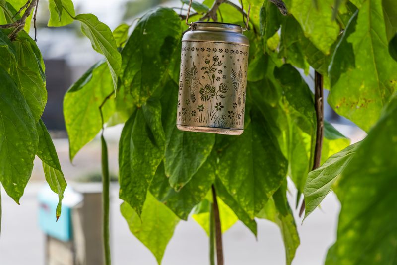 Bec234c9 4b2f 4879 bc34 39ce7deee9d7 homerunner