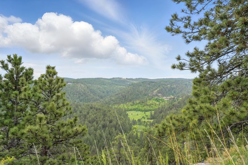 E8d3a5d4 c67e 4202 9316 c84275f51d8d homerunner