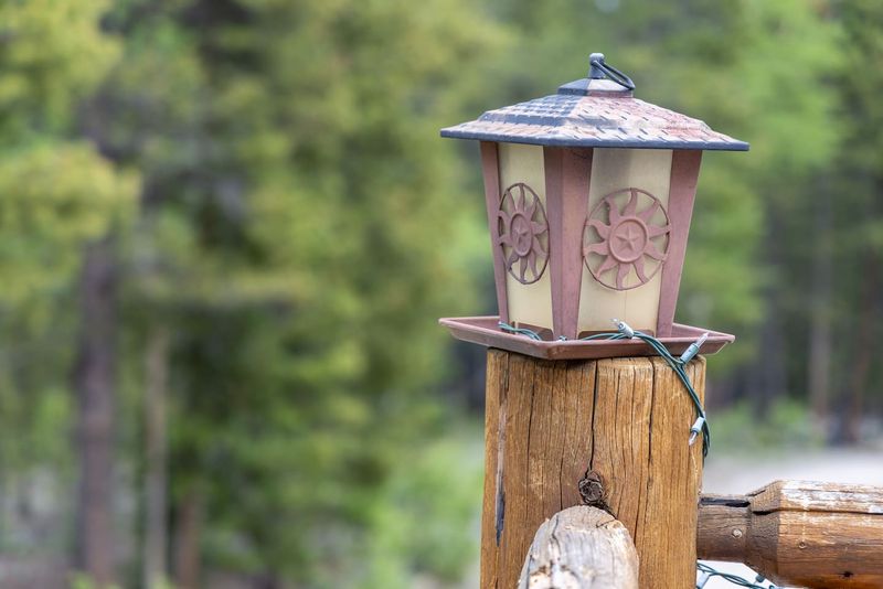 F558d640 2e70 420e bc4b b0e707e92ce7 homerunner