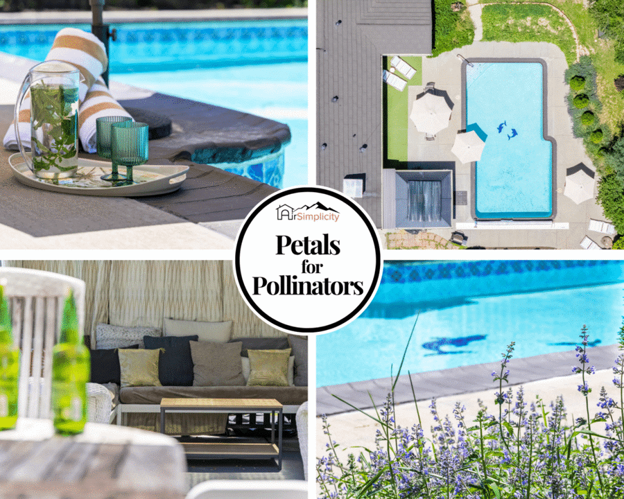 Petals for Pollinators - Heated Pool Main Image