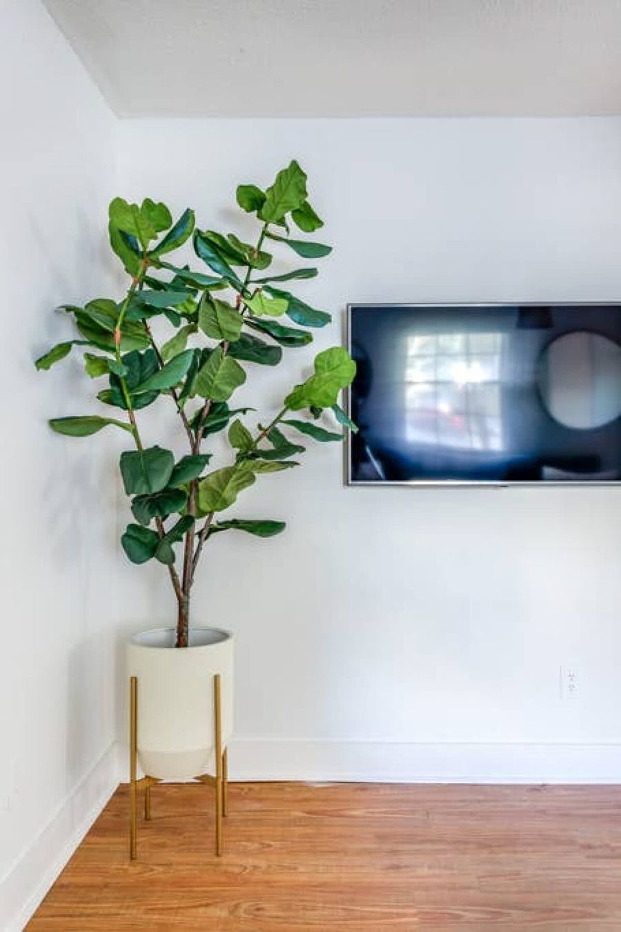 TV with streaming apps like Netflix!